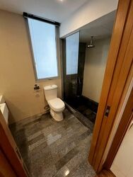 8 @ Mount Sophia (D9), Condominium #581357571